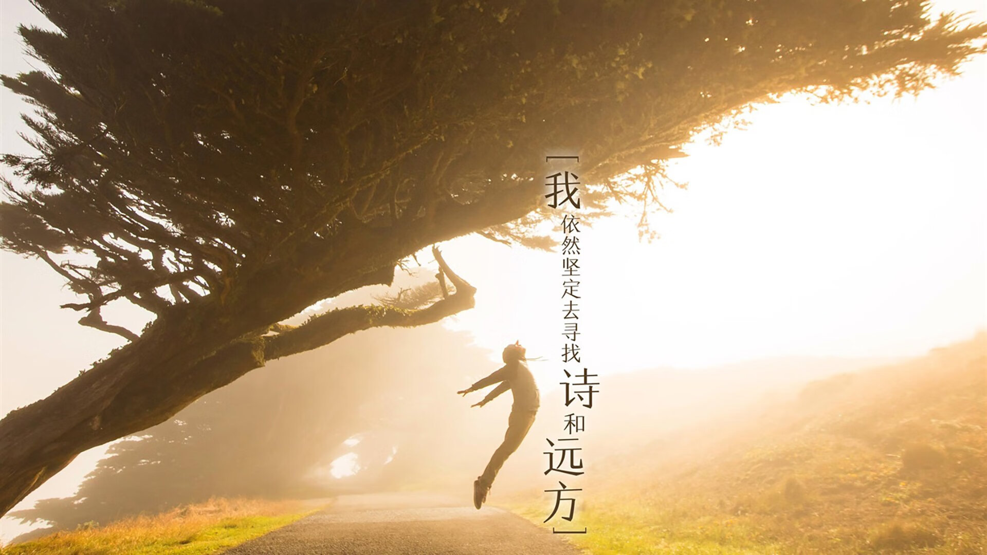 东契奇与导演合作推出篮球纪录片,聚焦梦想与现实,东契奇谈自己的篮球偶像