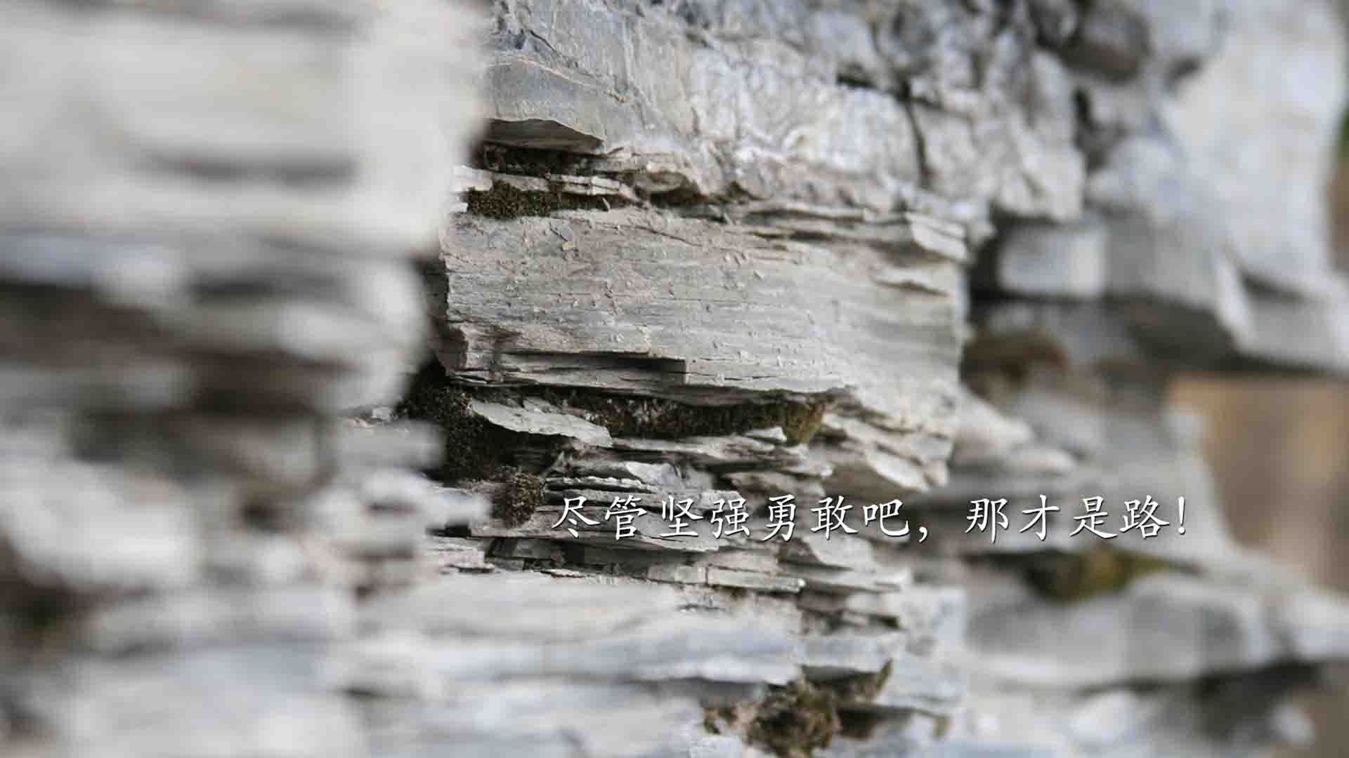 广场舞赛事成为地方文化品牌，有特色的广场舞舞蹈比赛