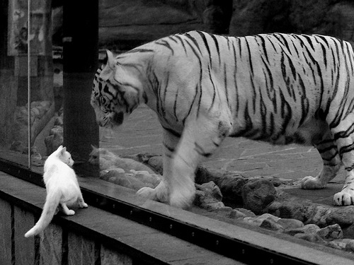 摩纳哥攻势凶猛，冲击未来更高阶段，摩纳哥v4