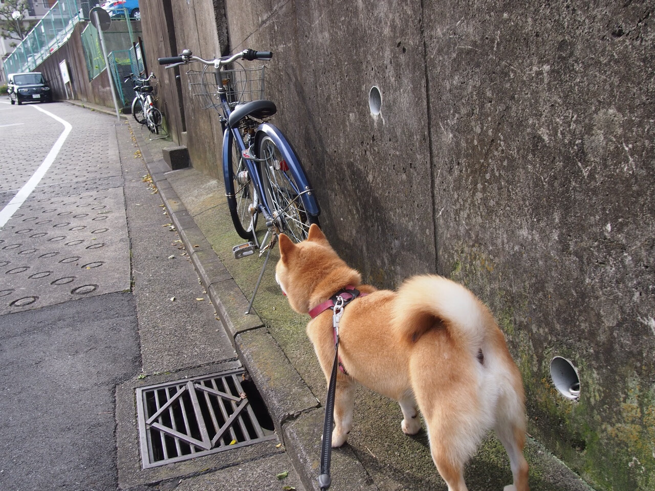 kaiyun体育综合-_跨界运动演绎：体育与戏剧的精彩融合_，体育跨越