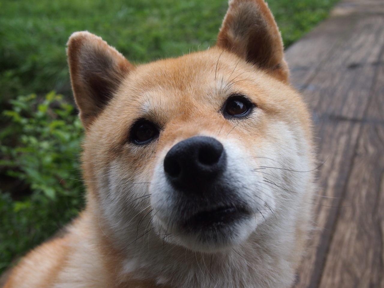 中国队前锋苏亚雷斯在巴黎奥运会上表现出色,苏亚雷斯夺冠