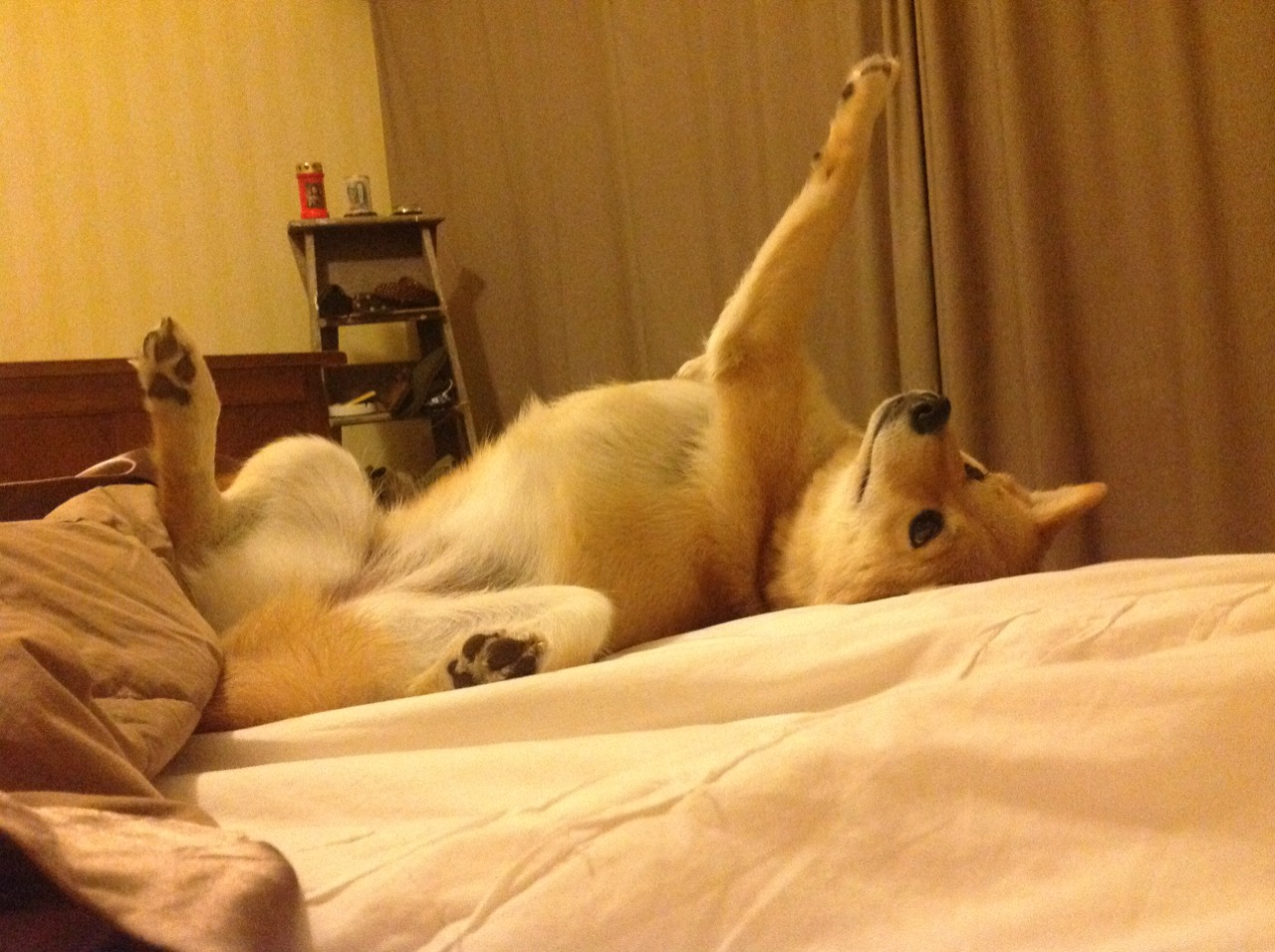 佛罗伦萨长传战术奏效,赢得比赛,佛罗伦萨duomo