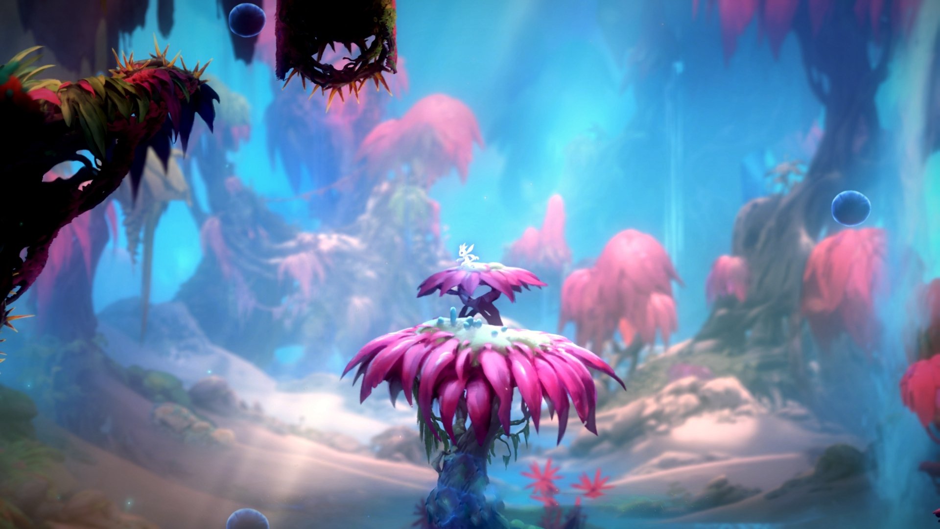 全国青少年“篮球摄影”微电影征集盛大开启,展现青春风采,篮球摄影比赛作品简介